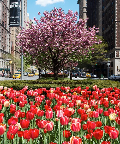 img blog landing Downsizing After 60 A Strategic Action Plan, Part 1