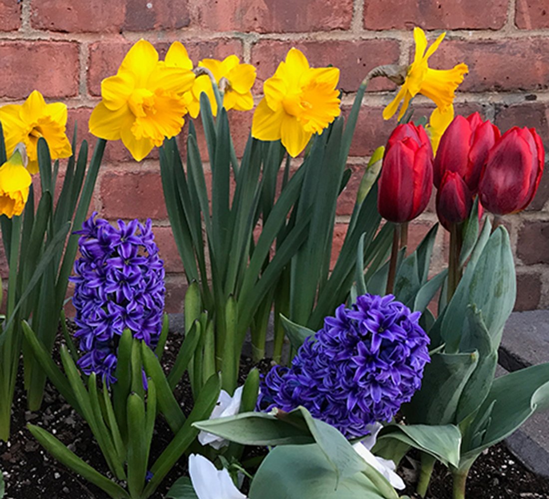 The Ultimate Spring Decluttering Checklist for a Fresh & Organized Home