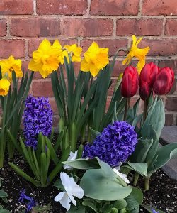 img blog landing The Ultimate Spring Decluttering Checklist for a Fresh & Organized Home
